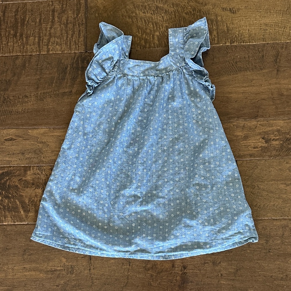 Jcrew girls Ruffle Sleeve Dress